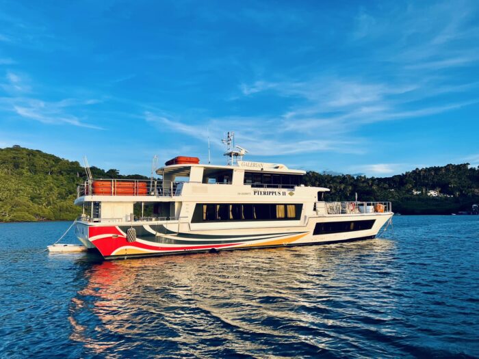 M/V 3C Pterippus II | Regular