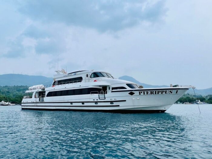 M/V 3C Pterippus I | Regular